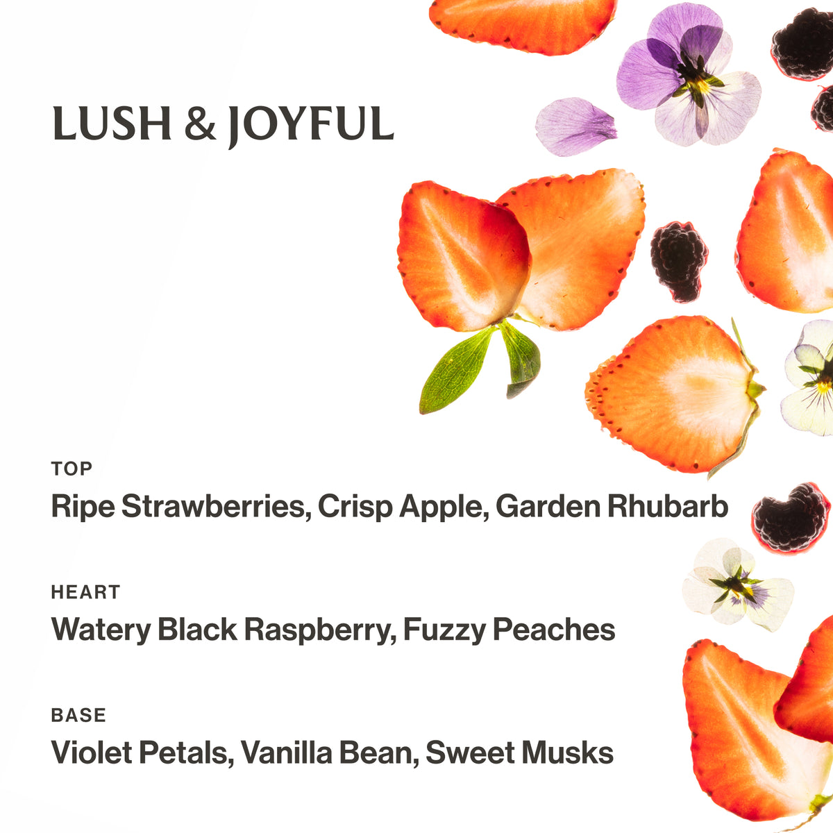 Berry Bliss Hand Sanitizer